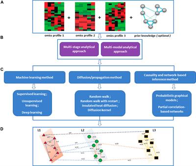 Frontiers | Computational Approaches For Network-based Integrative ...